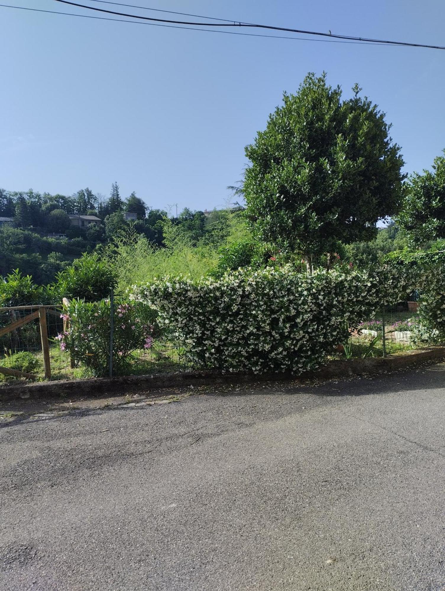 Casavacanzetorresansevero Orvieto Kültér fotó